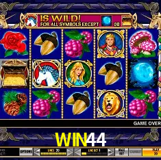 WIN44 Plataforma Oficial